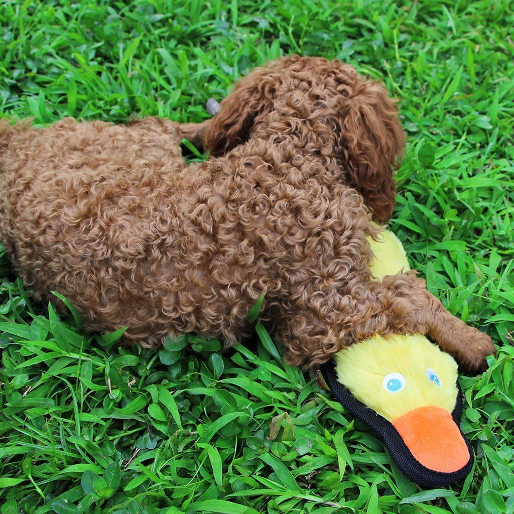 Dog Toy Duck, Durable Squeaky Dog Toy Plush Dog Duck Toy for Dog Cat, Yellow Duck