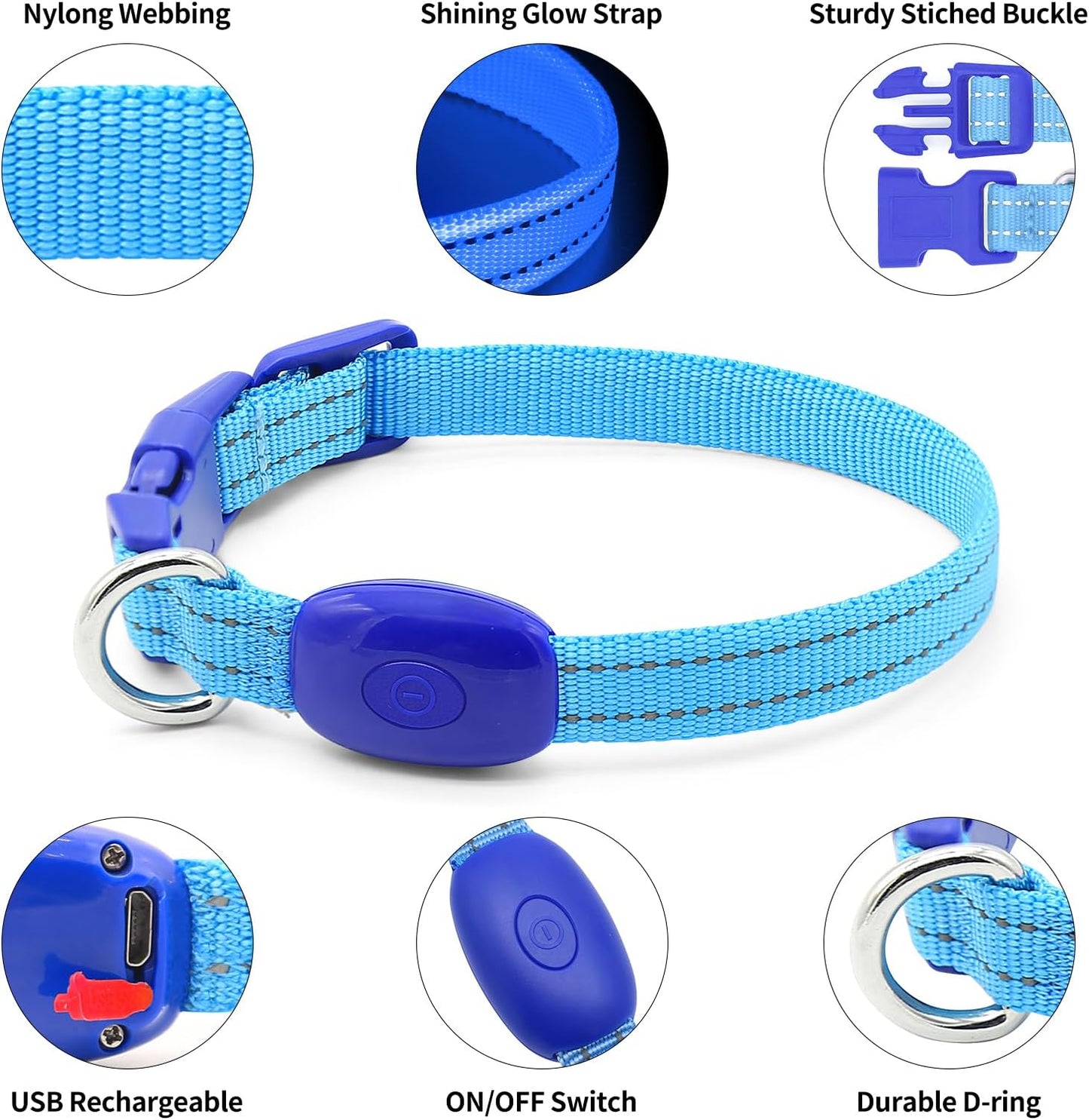 Puppy LED Dog Collars - USB Rechargeable Light up Dog Collar Adjustable Reflective Pet Collars Keep Your Small Dogs and Cats Be Seen & Safe in the Dark (XS, Royal Blue)