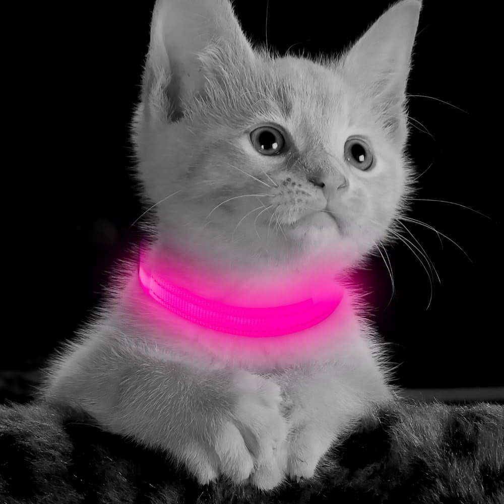 XS LED Dog Collar - Adjustable USB Rechargeable Glowing Pet Collar, Light up Collars for Small Dogs& Cats