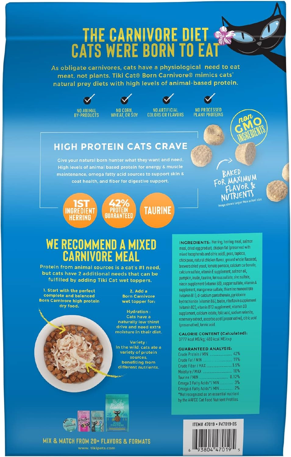 Tiki Cat Born Carnivore High Protein, Herring & Salmon Meal, Grain-Free Baked Kibble to Maximize Nutrients, Dry Cat Food, 11.1 Lbs. Bag